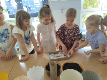 IMG_20260310_095654479_HDR