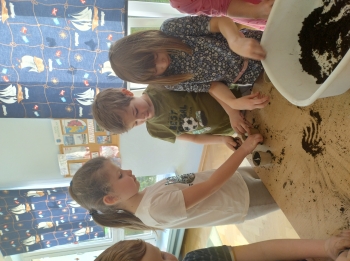 IMG_20260310_102937258_HDR