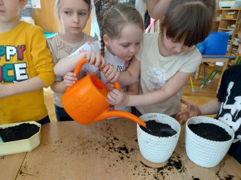 IMG_20260310_101412722_HDR