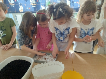 IMG_20260310_095637089_HDR