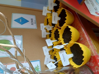 IMG_20260310_102555472_HDR