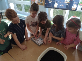 IMG_20260310_095626909_HDR