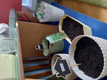 IMG_20260310_101839021_HDR