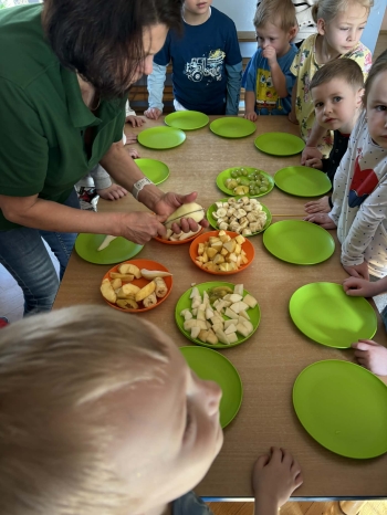 d87db562-8fde-4bda-bbcf-e8424dd2e5f7