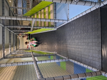 20260513_100408