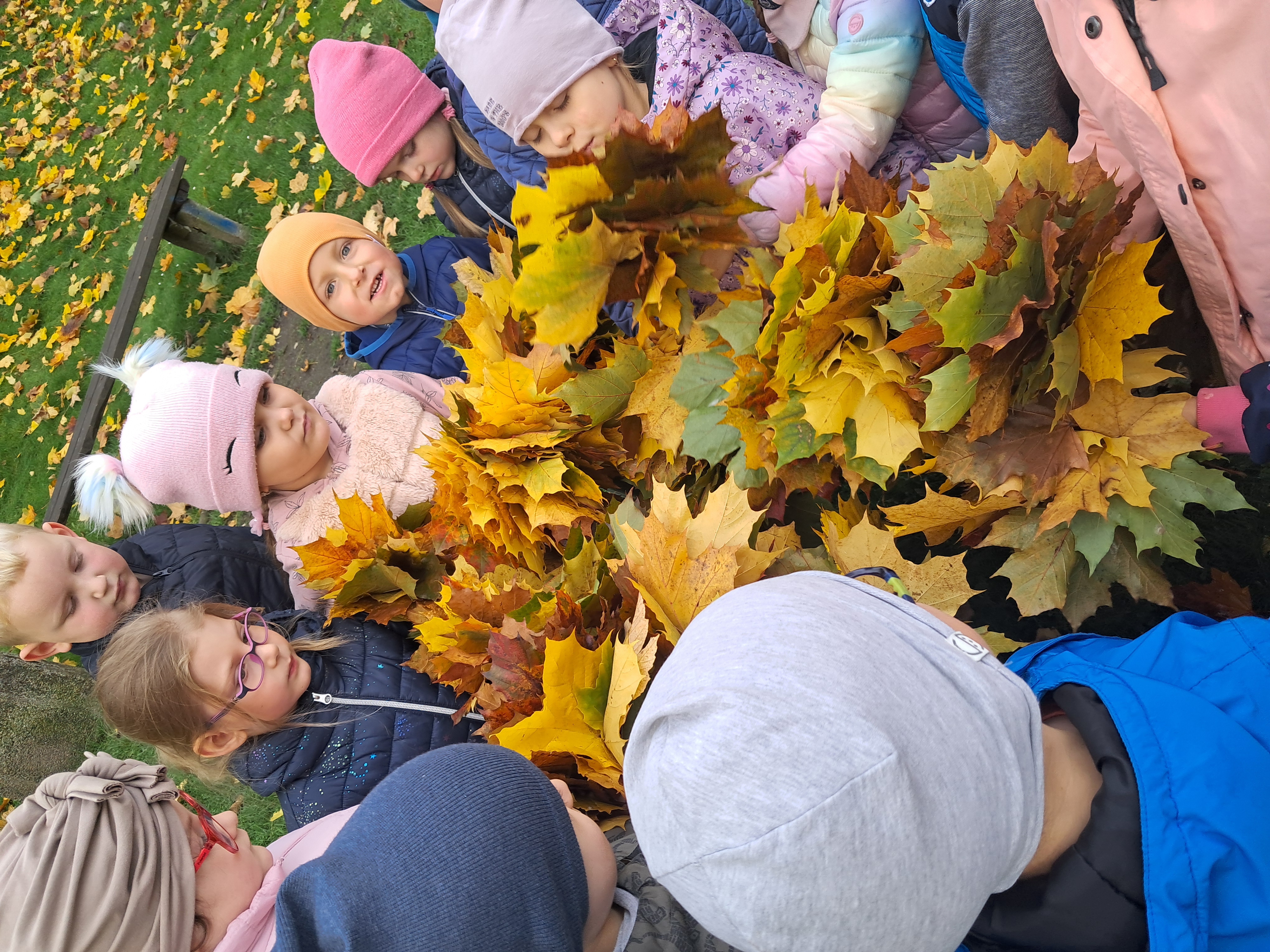 Zaczarowany Spacer – Tworzymy Bukiet Jesieni