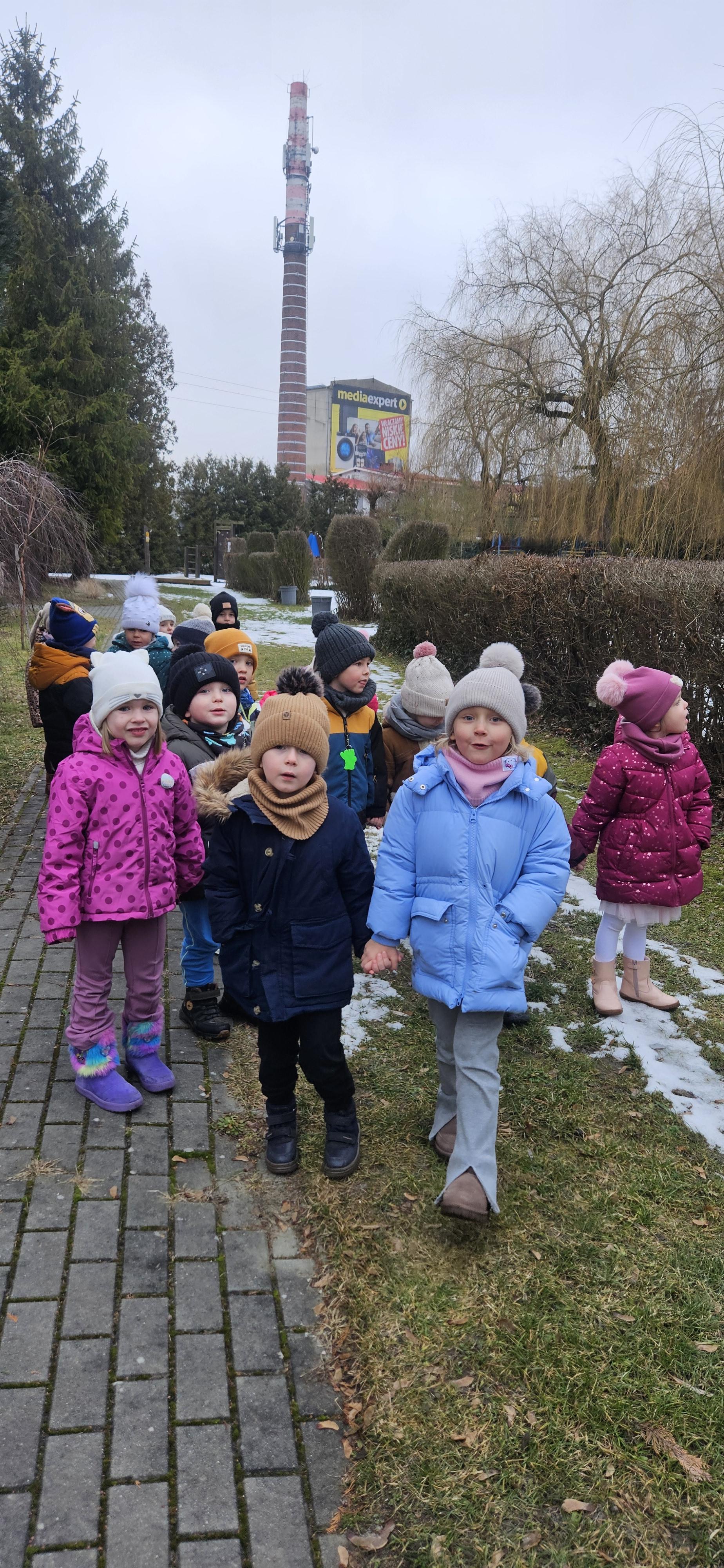 Dokarmiamy ptaki zimą 